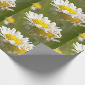Tusenskönor Foto Presentpapper