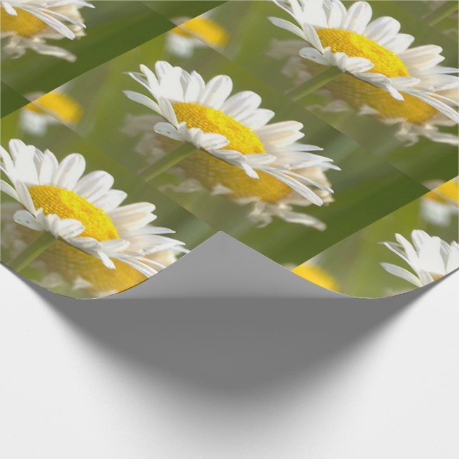 Tusenskönor Foto Presentpapper (Hörn)