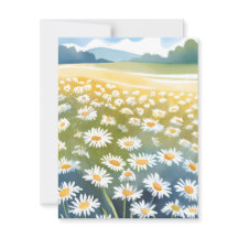 Tusenskönor på fält | Blomsteräng blomsterkonst