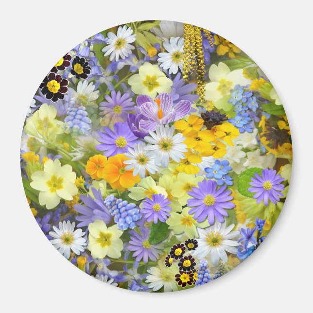 Tusenskönor, Primula, Narcisser Blommor Magnet (Framsidan)