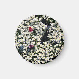 Tusensköns Ängs Magnetskola Magnet