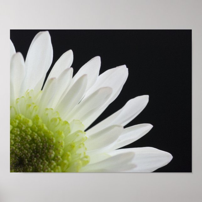 Tusenskönsblomma på svart poster (Framsidan)