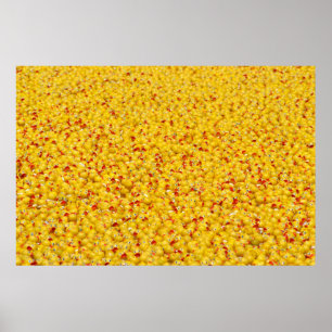 Tusentals ankor poster