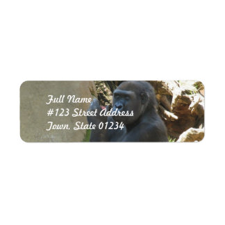 Tusentals Gorilla-mejseletiketter Returadress Etikett