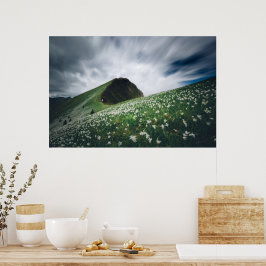 Tusentals narciss på Golica, Slovenien Poster
