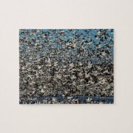 Tusentals snögäss pussel