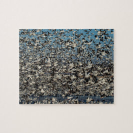 Tusentals snögäss pussel