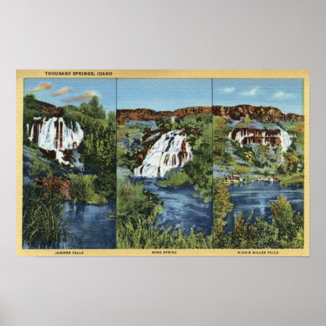 Tusentals Vår, ID - Juniper, Vinge och Minnie Poster (Framsidan)