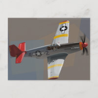 Tuskegee Airmen