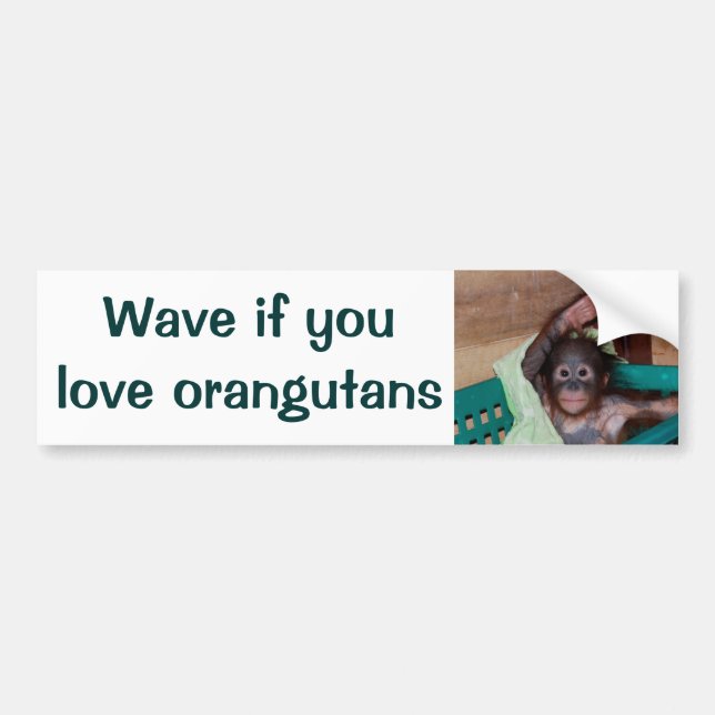 Tuta eller vinka, om du älskar Orangutans Bildekal (Framsidan)
