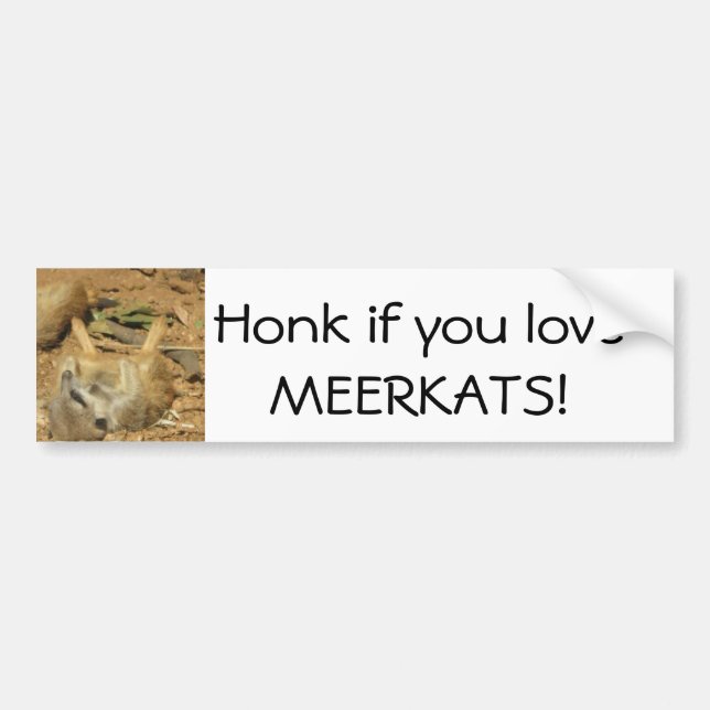 Tuta, om du älskar MEERKATS! Bildekal (Framsidan)