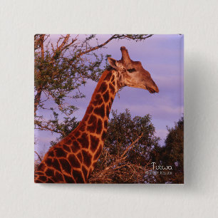 Tutwa, giraffe i Botswana, Button Knapp