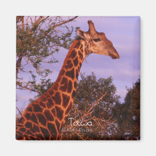 Tutwa, giraffe på Tetswana-språket, Magnet