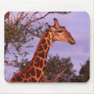 Tutwa, giraffe på Tetswana-språket, Mousepad Musmatta