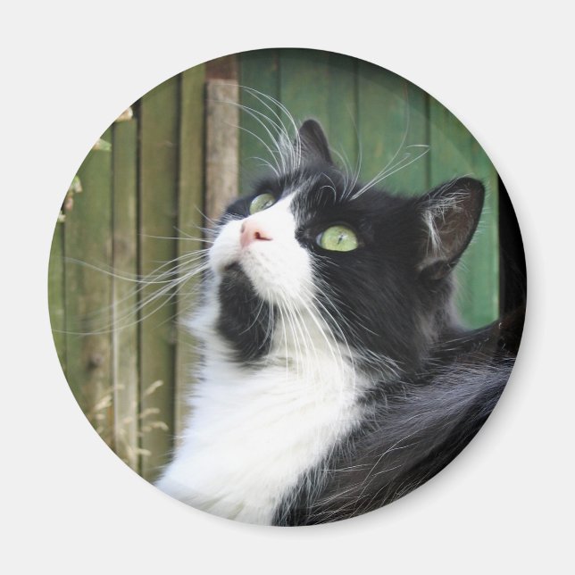 Tux - 2,4-tums runda magnet (Framsidan)