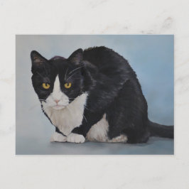 Tuxedo Black White Domestic Shorthair Cat-vykort Vykort