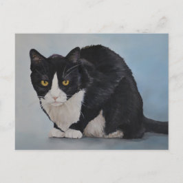 Tuxedo Black White Domestic Shorthair Cat-vykort Vykort