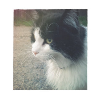 Tuxedo Cat Anteckningsblock