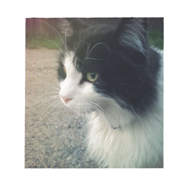 Tuxedo Cat Anteckningsblock (Framsida)