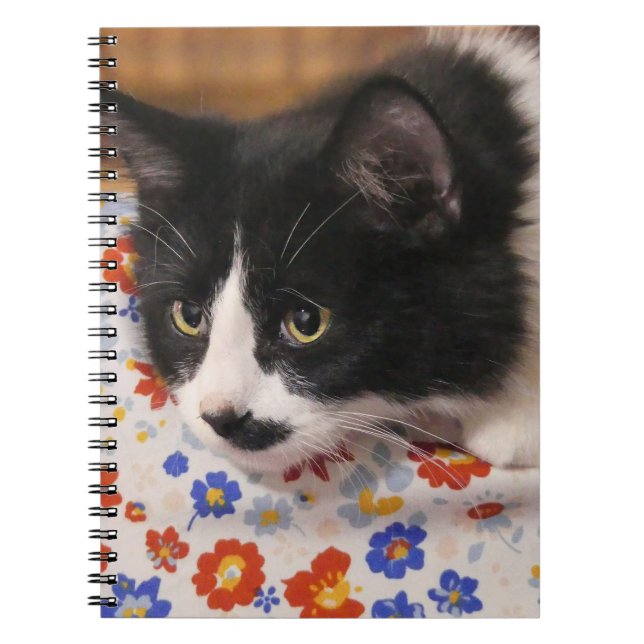 Tuxedo Cat Anteckningsbok (Framsidan)