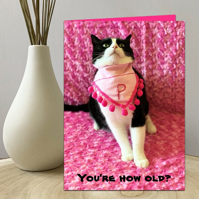 Tuxedo Cat Birthday Card (fina färger) Helgkort (Skapare uppladdad)