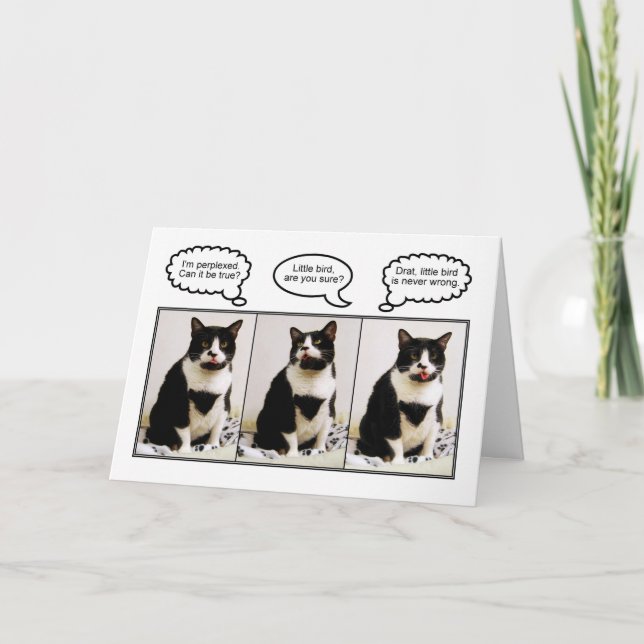 Tuxedo Cat Birthday Humor kort (Framsida)