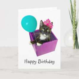 Tuxedo Cat Birthday Kort