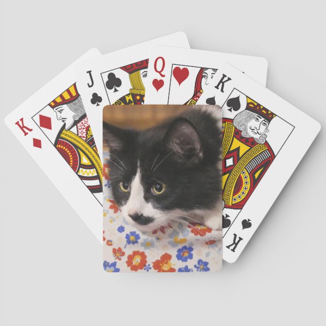 Tuxedo Cat Casinokort (Baksidan)