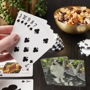 Tuxedo Cat Casinokort