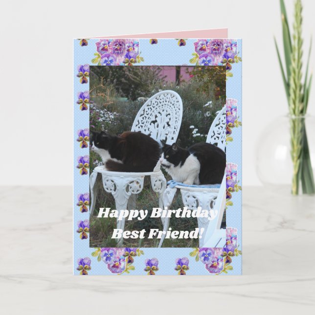 Tuxedo Cat Cute Funny Birthday Friend Cats-kort Kort (Framsida)