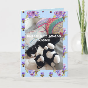Tuxedo Cat Cute Funny Brother Cats-kort Kort