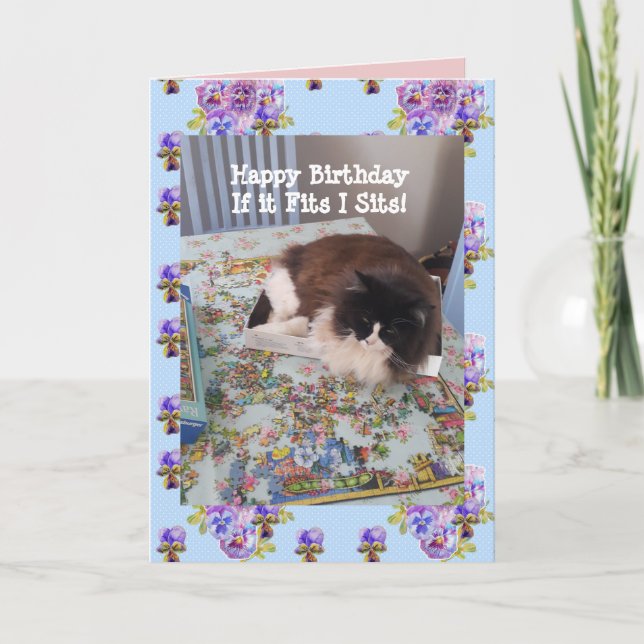 Tuxedo Cat Cute Funny Cats i boxes Cats Card Kort (Framsida)