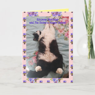 Tuxedo Cat Cute Funny Lycklig Dance Cats Viola Car Kort