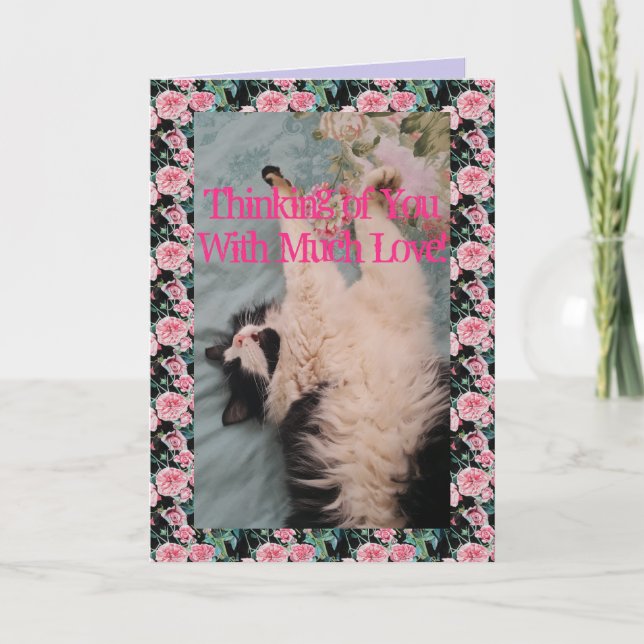 Tuxedo Cat Cute Funny Quote Luft Kneading Card Kort (Framsida)