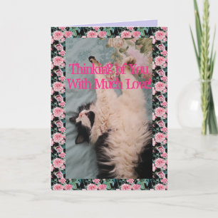 Tuxedo Cat Cute Funny Quote Luft Kneading Card Kort