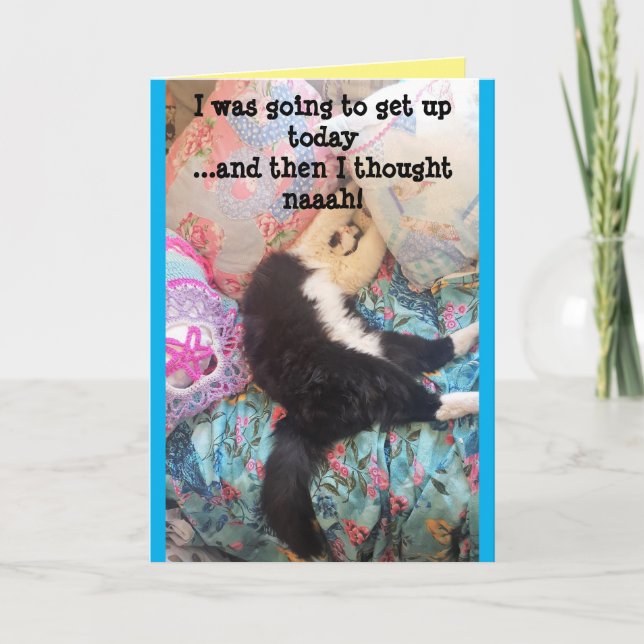 Tuxedo Cat Cute Funny Sleeping Birthday Card Kort (Framsida)