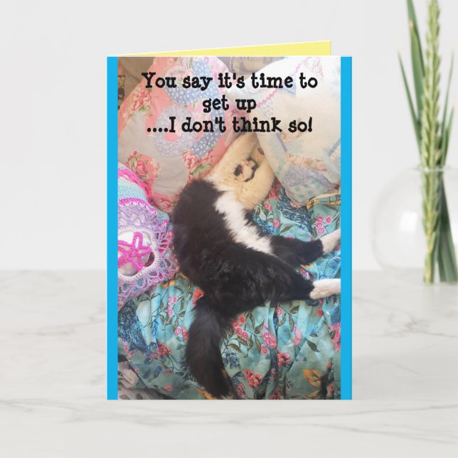 Tuxedo Cat Cute Funny Sleeping Birthday Card Kort (Framsida)