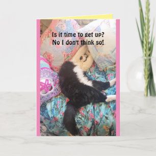Tuxedo Cat Cute Funny Sleeping Birthday Card Kort