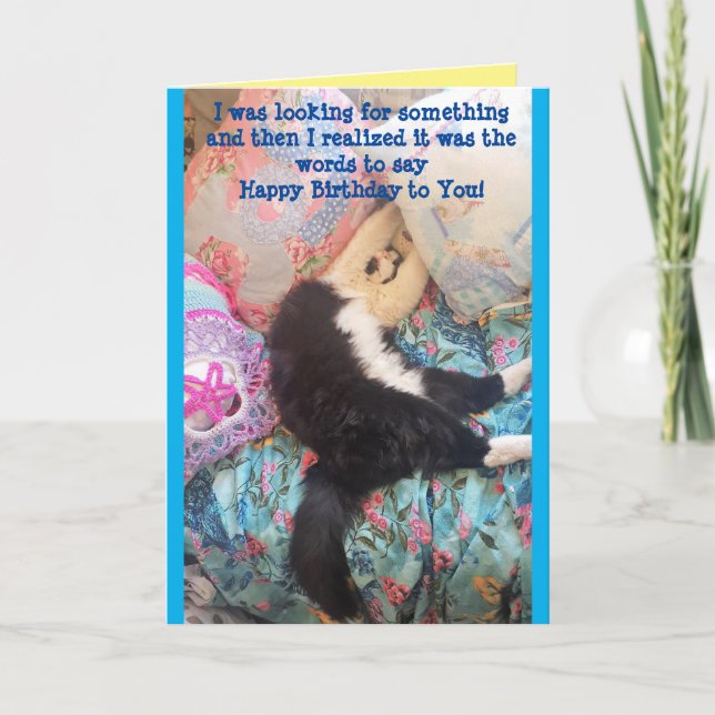 Tuxedo Cat Cute Funny Sleeping Birthday Card Kort (Framsida)