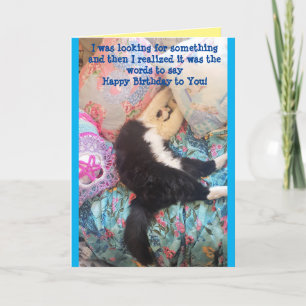 Tuxedo Cat Cute Funny Sleeping Birthday Card Kort