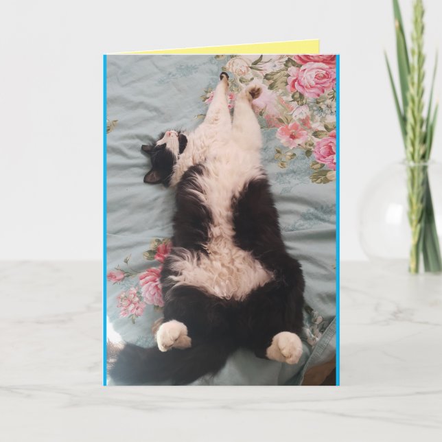 Tuxedo Cat Cute Funny Sleeping Cats Kneading Card Kort (Framsida)