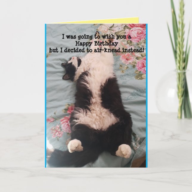 Tuxedo Cat Cute Funny Sleeping Cats Kneading Card Kort (Framsida)
