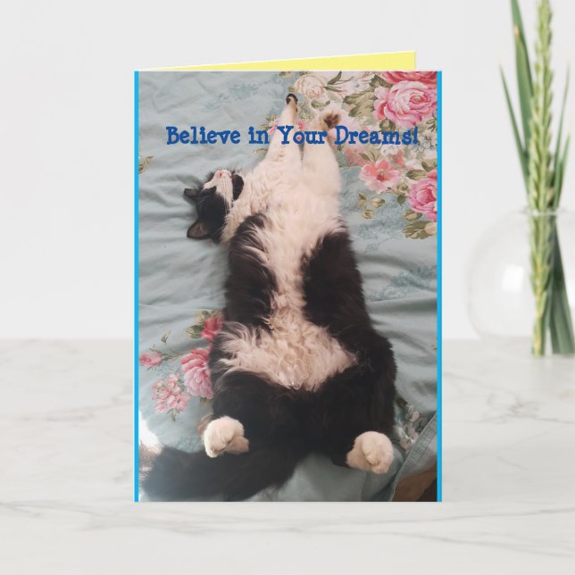 Tuxedo Cat Cute Funny Sleeping Cats Kneading Card Kort (Framsida)