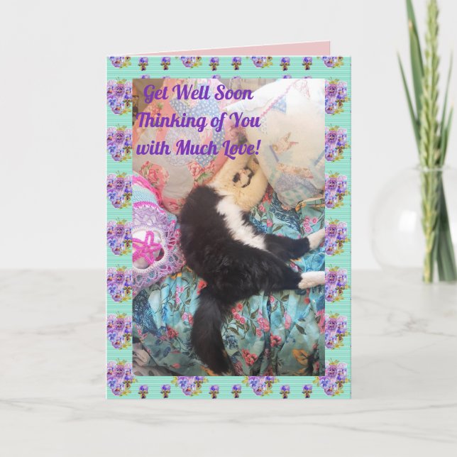 Tuxedo Cat Cute Funny Sleeping Cats-kort Kort (Framsida)
