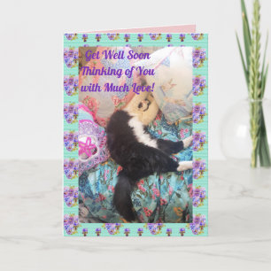 Tuxedo Cat Cute Funny Sleeping Cats-kort Kort
