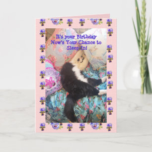 Tuxedo Cat Cute Funny Sleeping Viola Card Kort