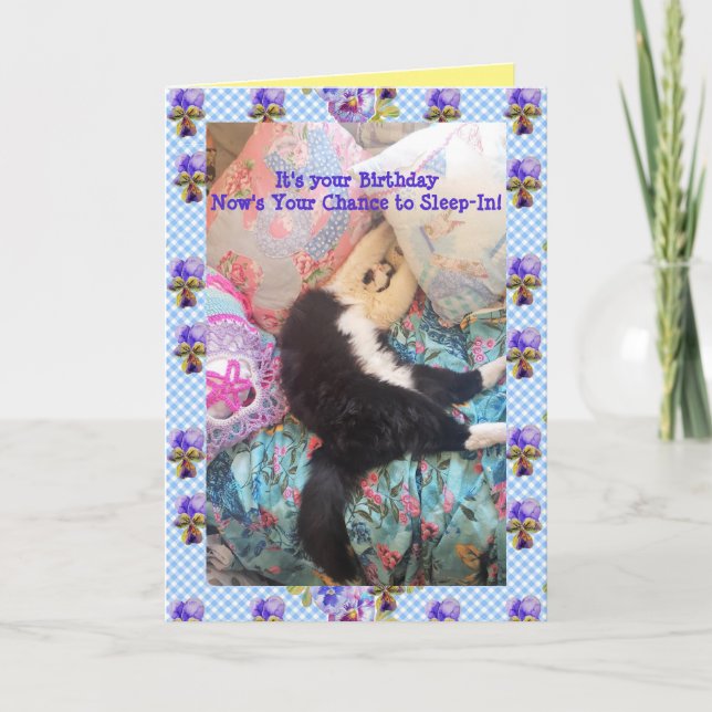 Tuxedo Cat Cute Funny Sleeping Viola Card Kort (Framsida)
