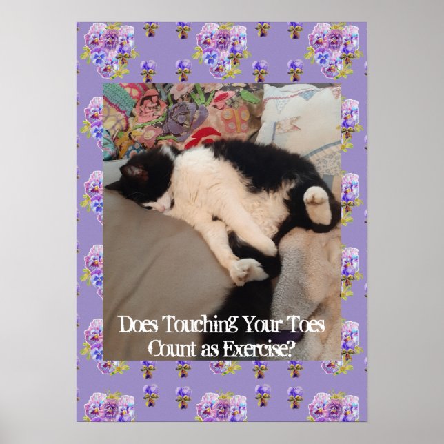 Tuxedo Cat Cute Funny Touching Toes Poster (Framsidan)