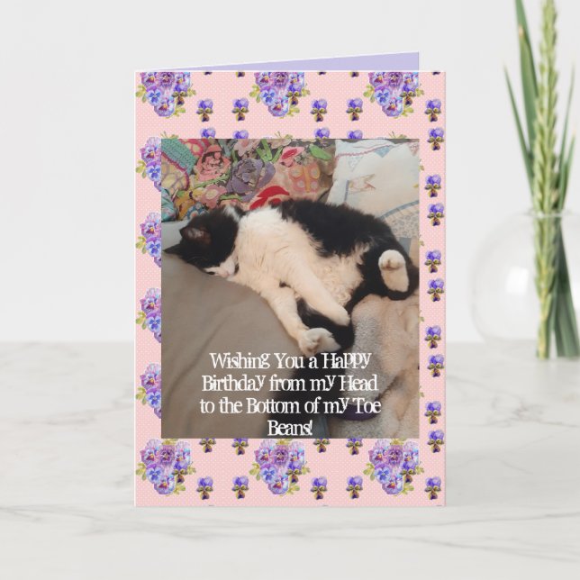 Tuxedo Cat Cute Grattis på födelsedagen Toe Beans  Kort (Framsida)