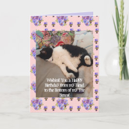 Tuxedo Cat Cute Grattis på födelsedagen Toe Beans Kort